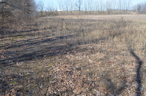 Property photo 30 - East Allen County - 55 Acre Land Auction